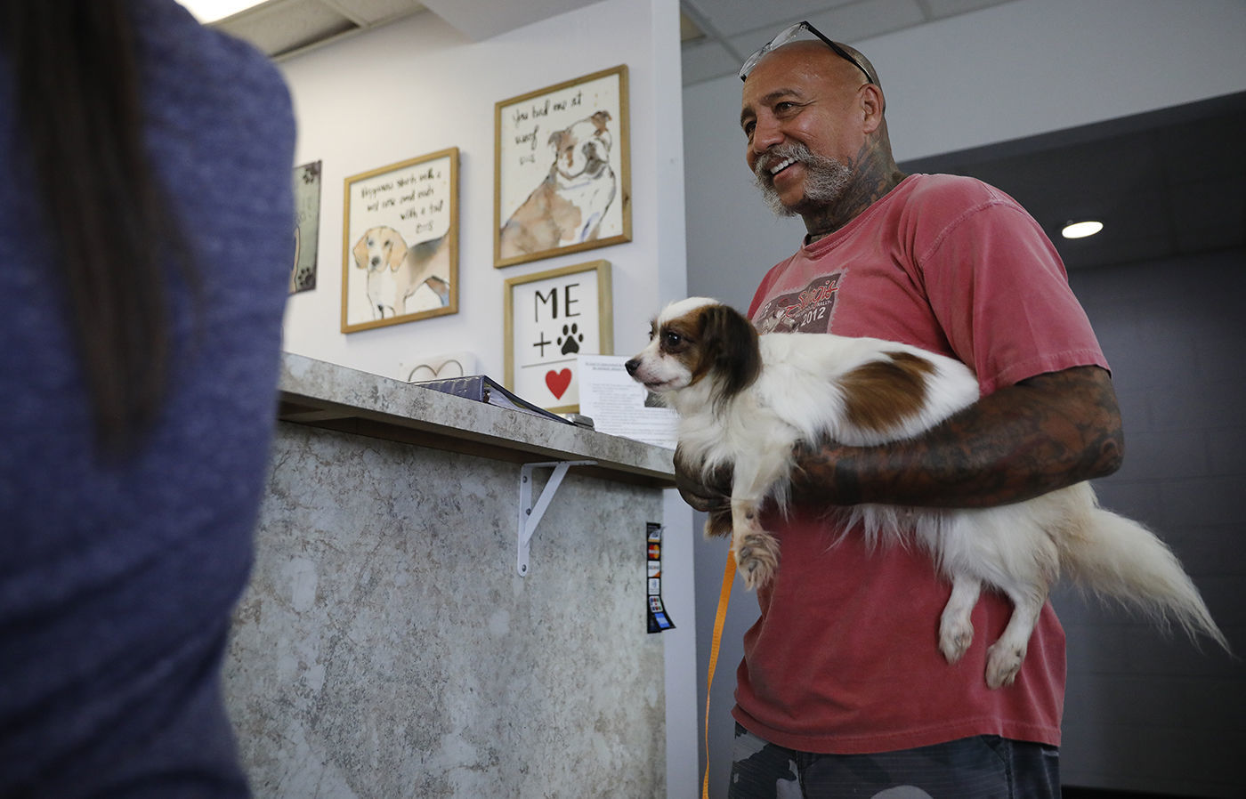 Pet Adoption